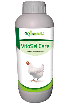 VitoSel Care